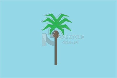 Palm tree