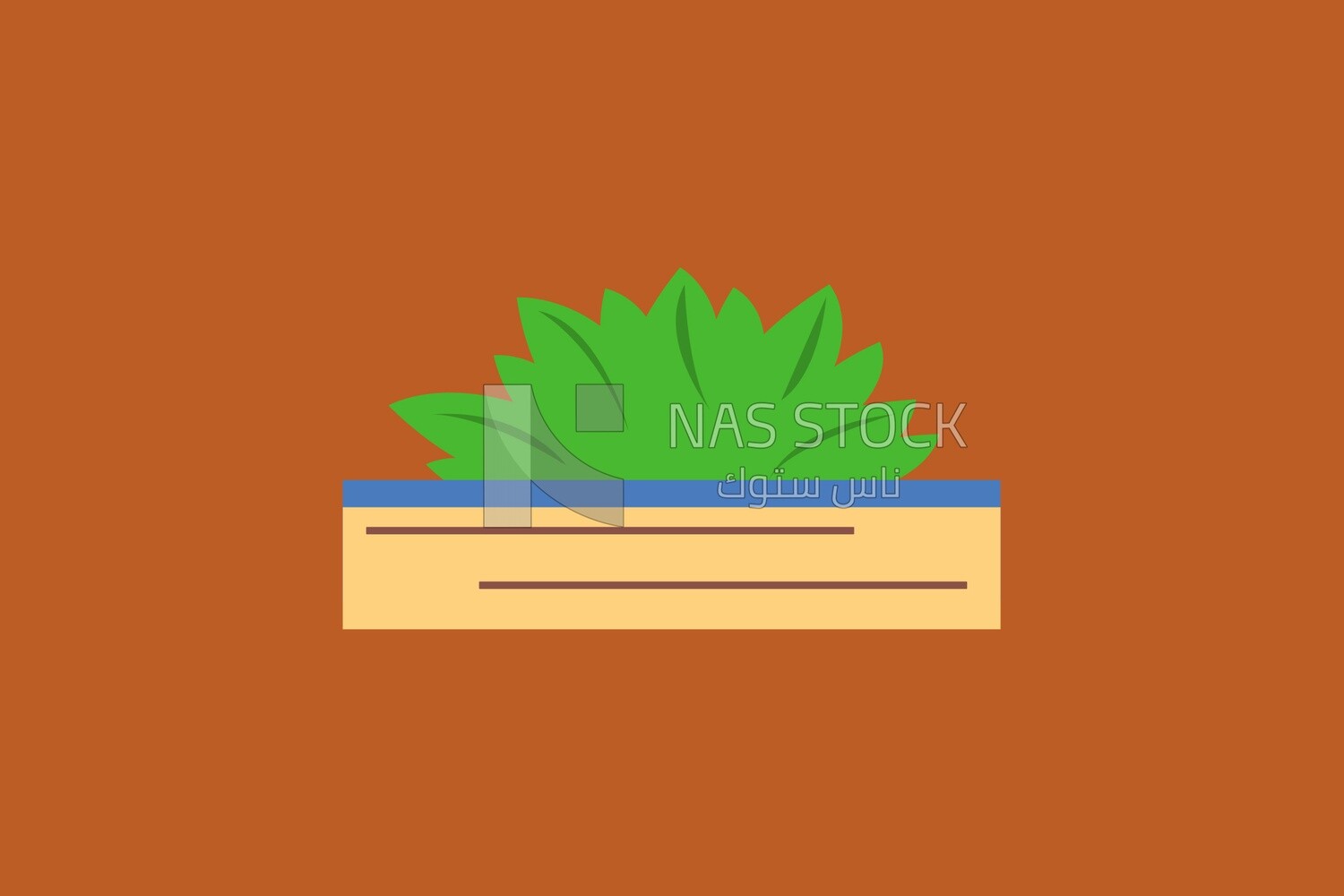 Grass