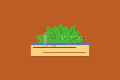 Grass