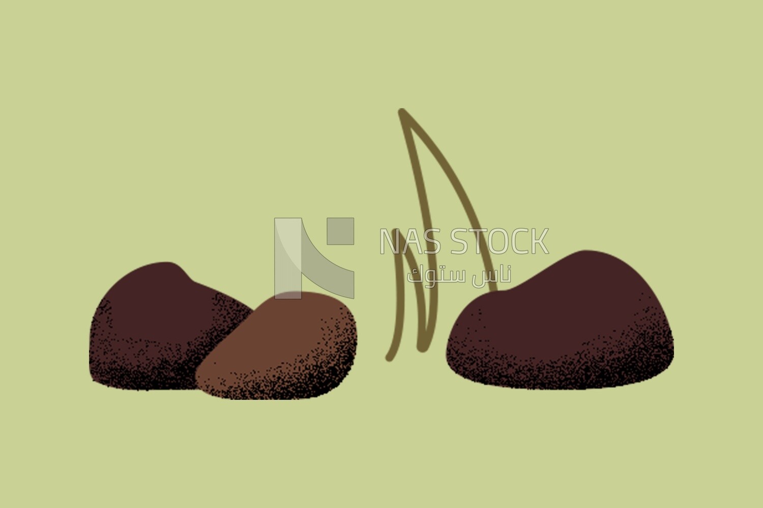 Rocks