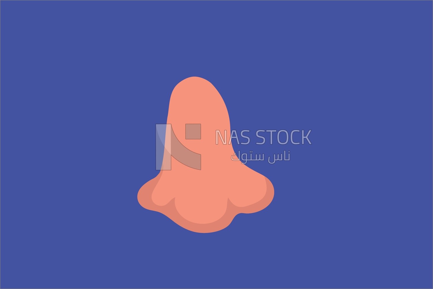 Nose