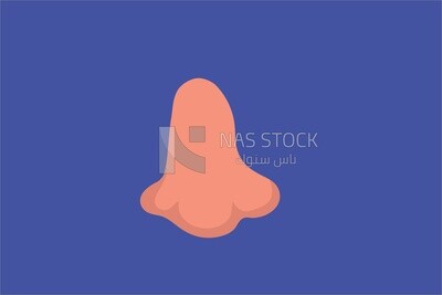 Nose