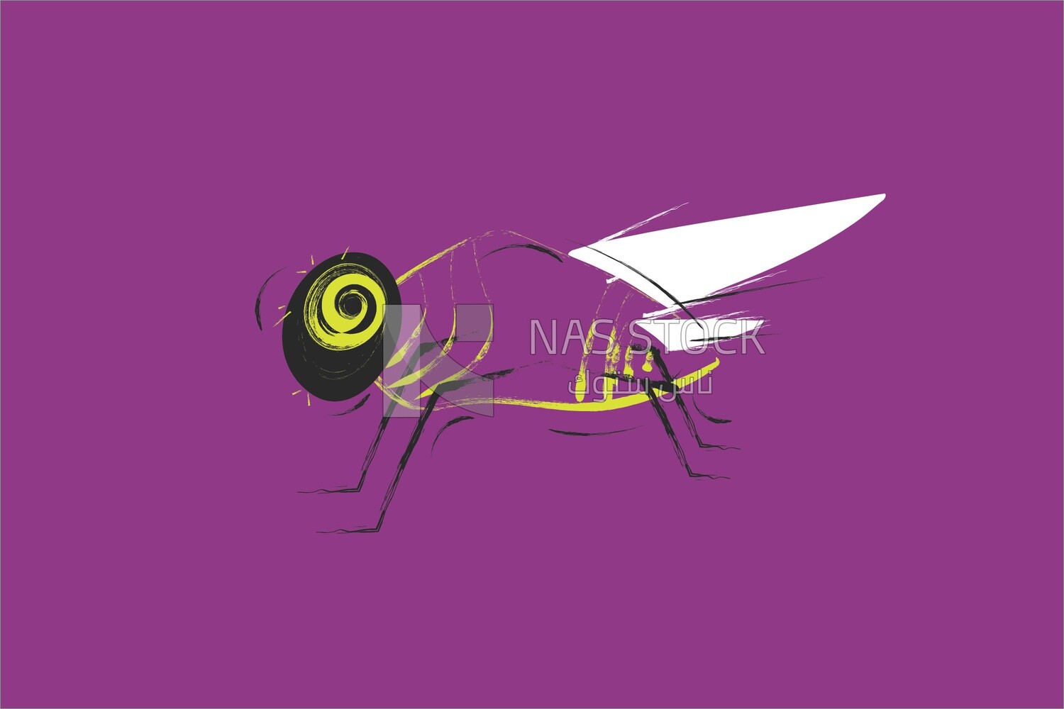 A fly