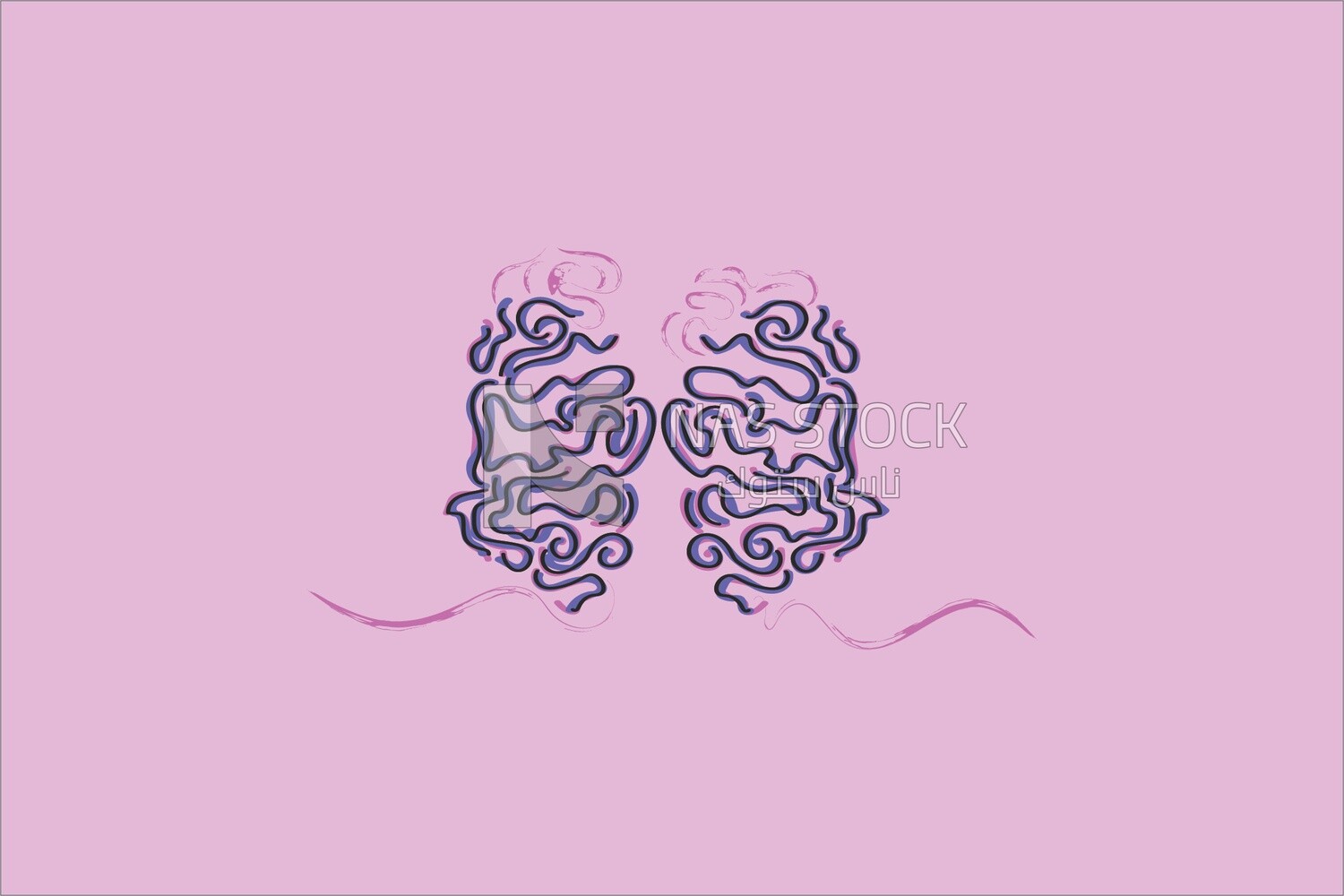Brain