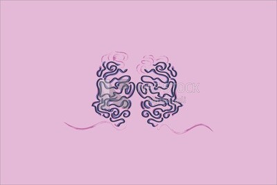 Brain