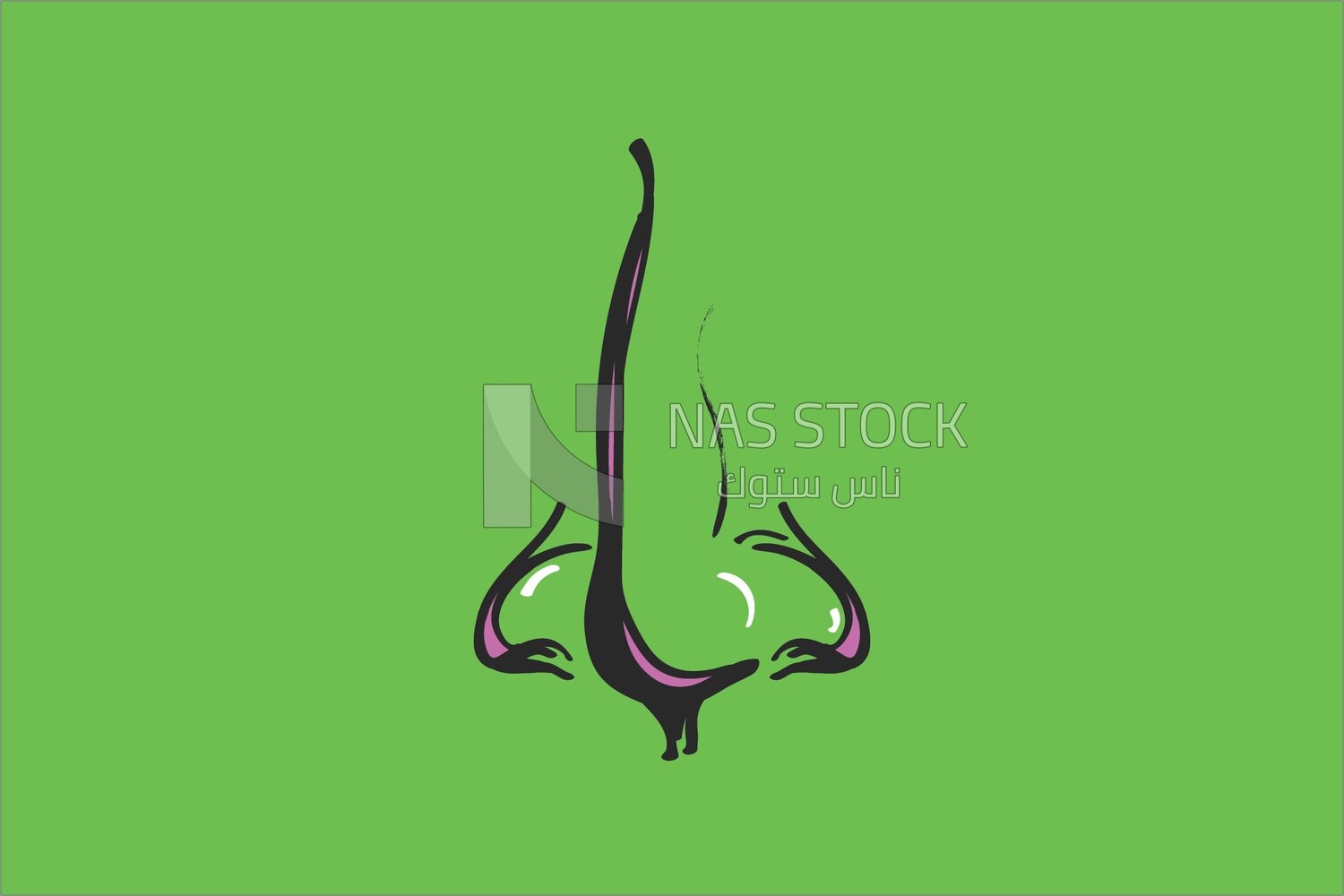 Nose