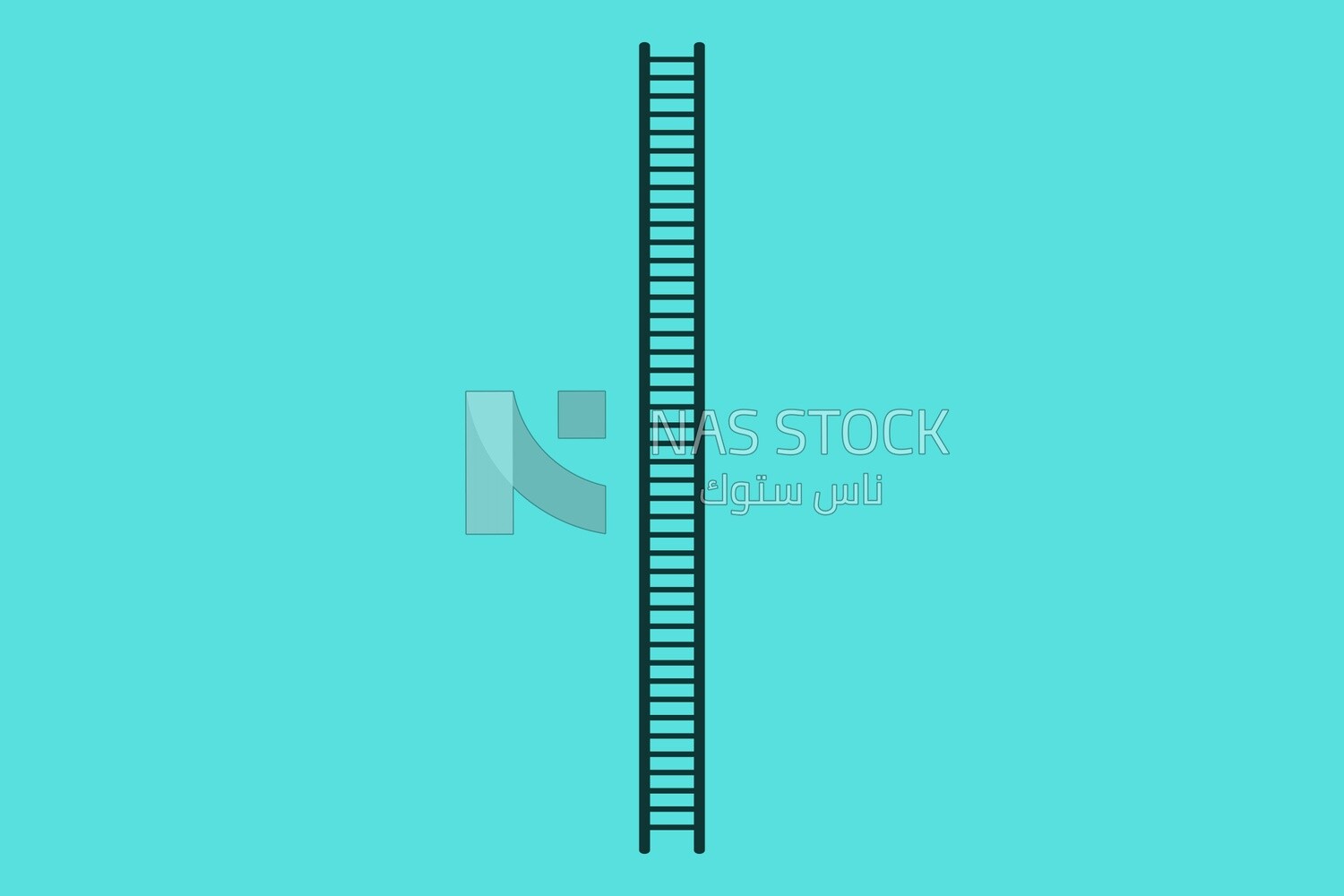 Wooden ladder