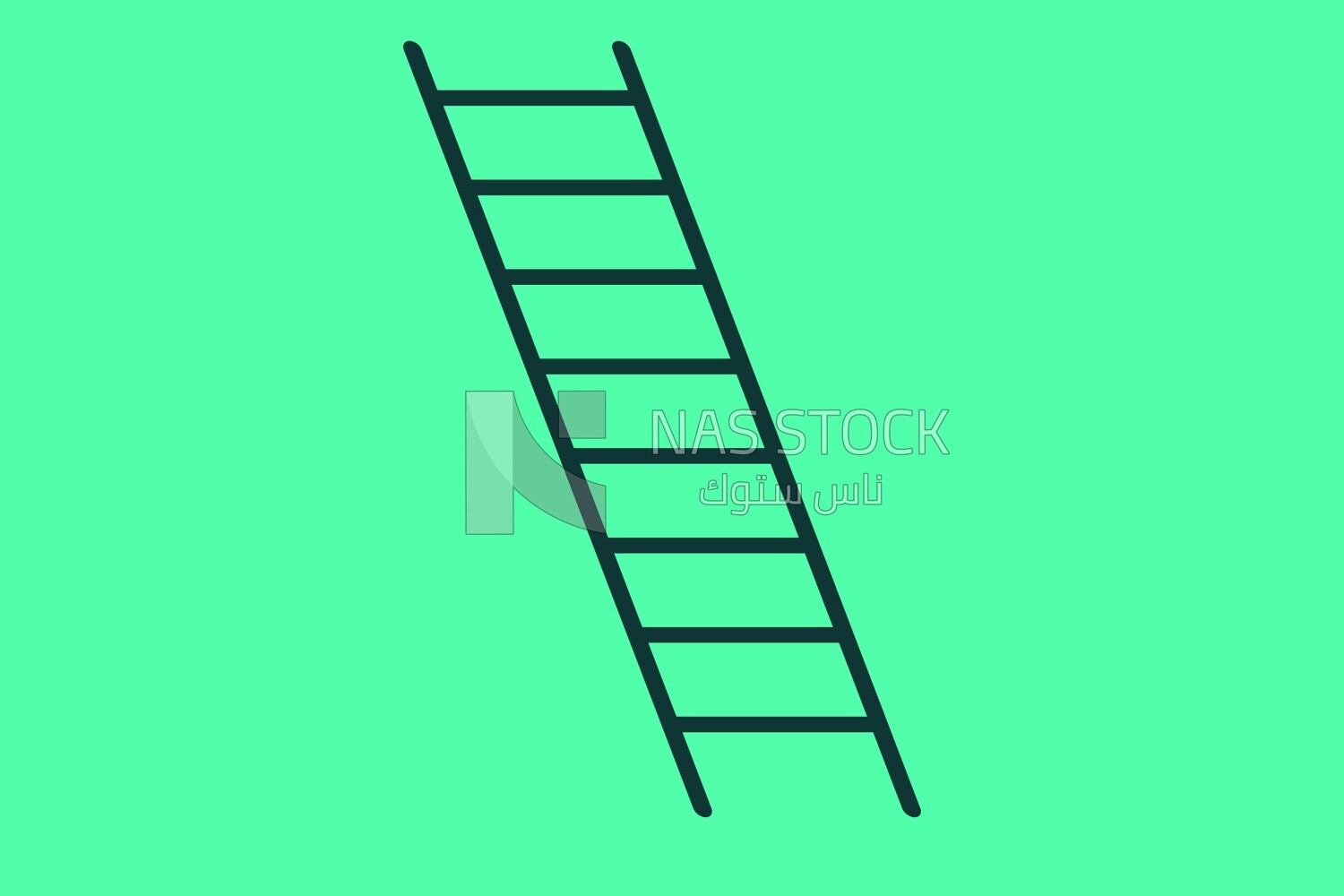 Wooden ladder