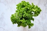 Fresh lettuce