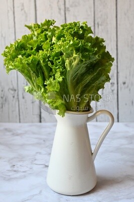 Fresh lettuce