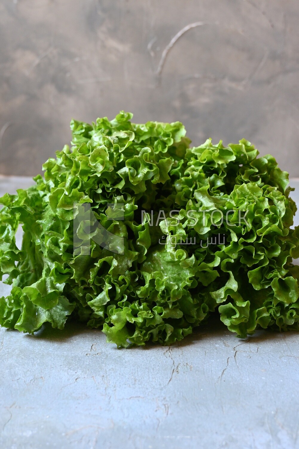Fresh lettuce
