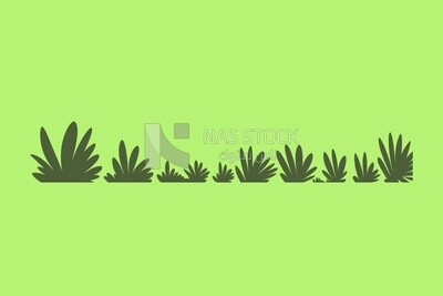 Herbs