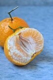 Tangerine on a blue background