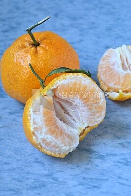 Tangerine on a blue background