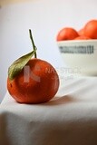 Tangerine on a white background