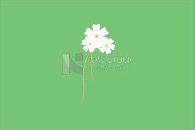 Bouquet of flowers