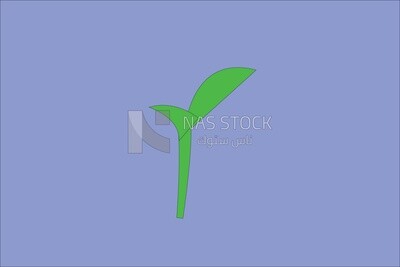 Leaves grow
