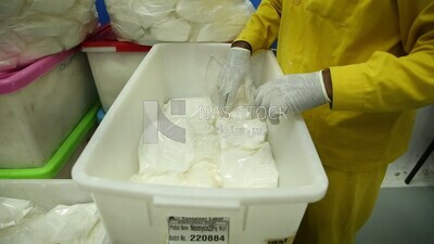 Specialist collects bags of medicine powder in boxes to be shipped in batches to hospitals