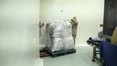 Workers in a pharmaceutical factory
