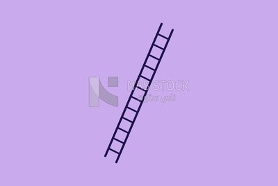 Metal ladder