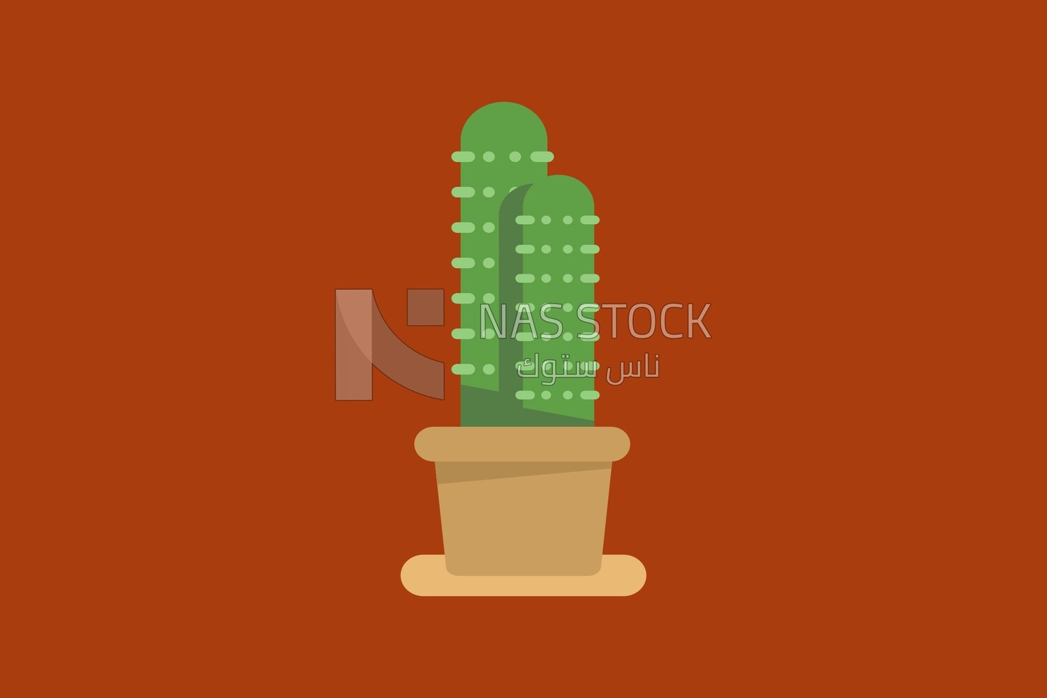 Cactuses