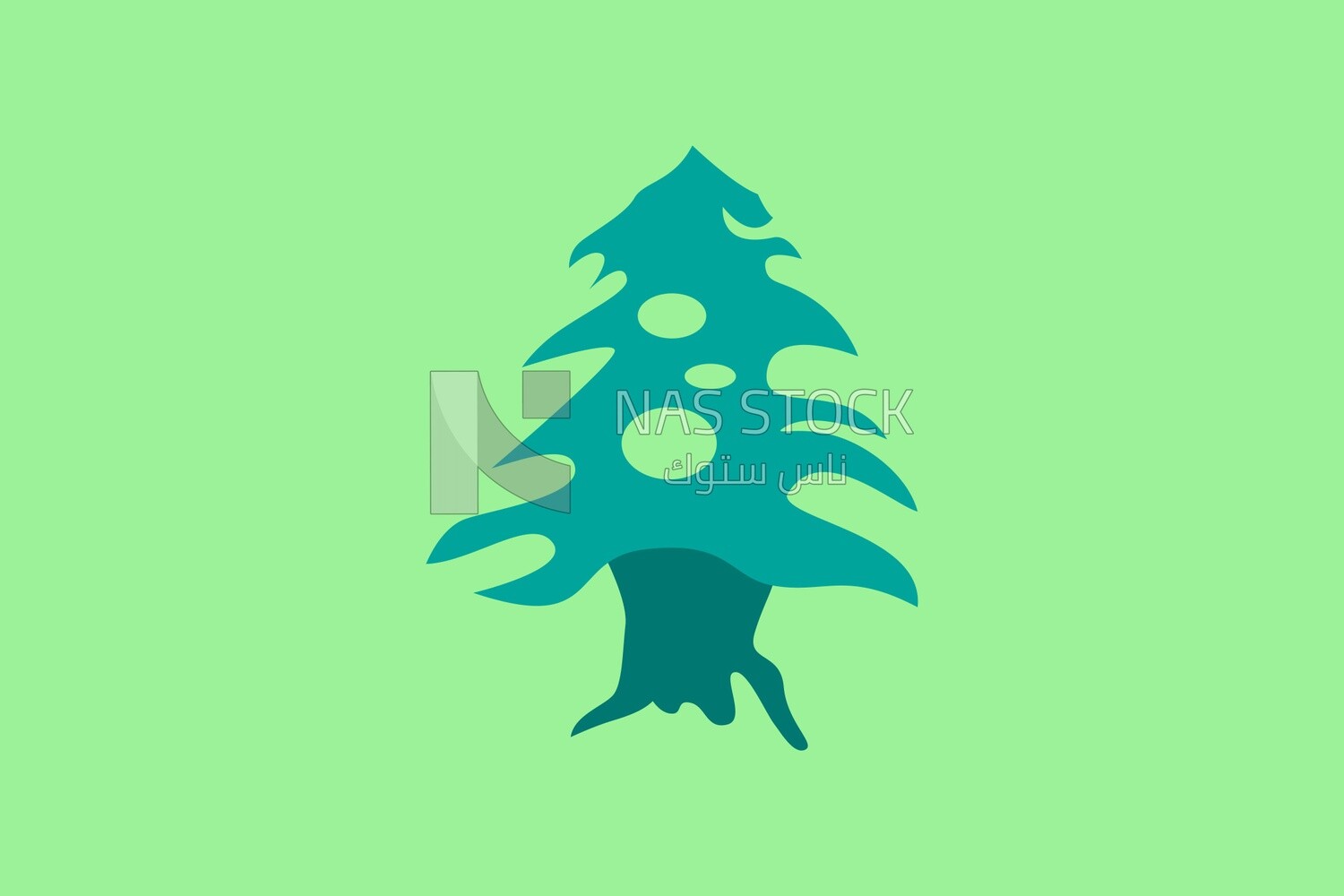 Cedar Tree