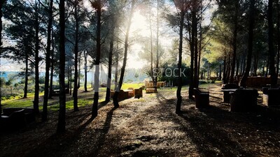 video of a sitting area beside trees on a mountain in Libya, Libya, history of Libya, landmarks in Libya