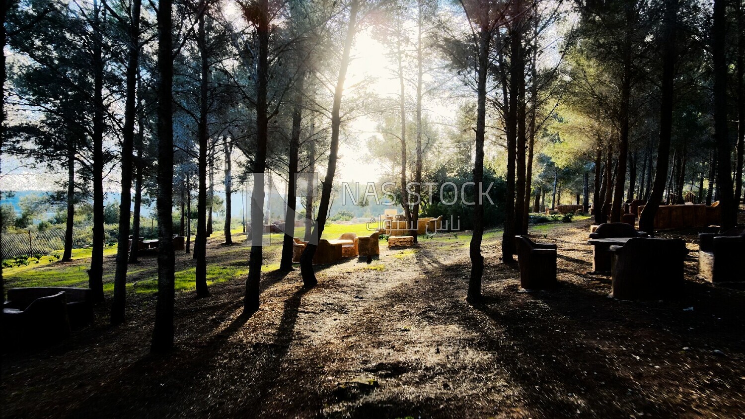 video of a sitting area beside trees on a mountain in Libya, Libya, history of Libya, landmarks in Libya