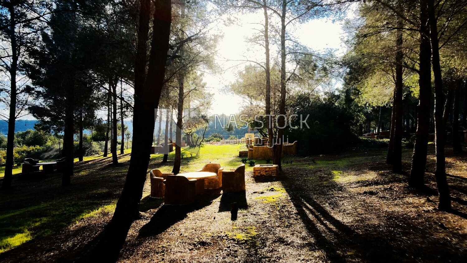 video of a sitting area beside trees on a mountain in Libya, Libya, history of Libya, landmarks in Libya