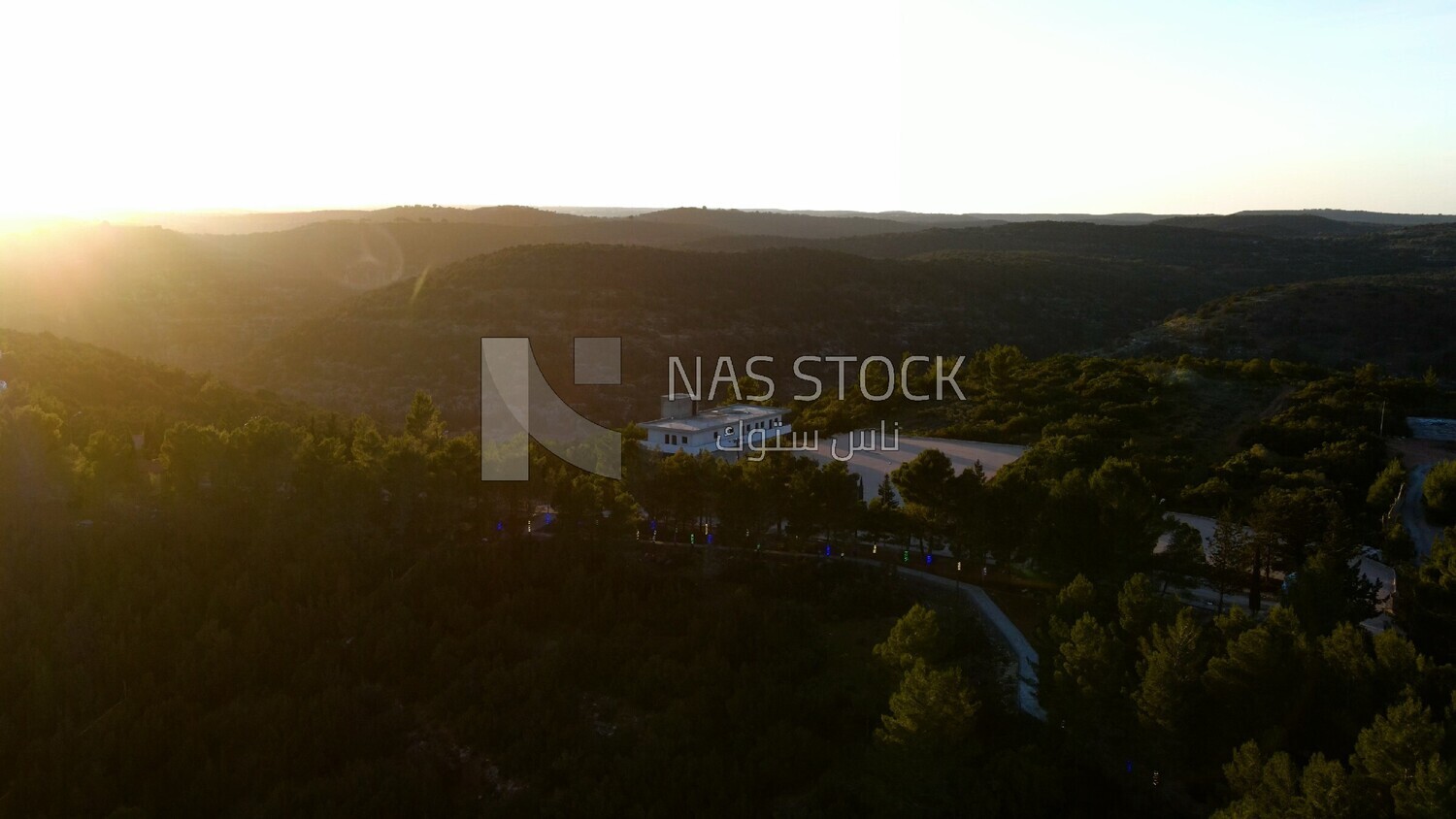 Drone footage of trees on a high mountain in Libya,  Libya, history of Libya, landmarks in Libya