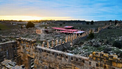 Drone footage shows an overview of buildings with trees in Libya, Libya, history of Libya, landmarks in Libya