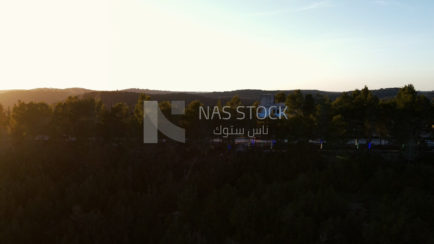 Drone footage of trees on a high mountain in Libya,  Libya, history of Libya, landmarks in Libya