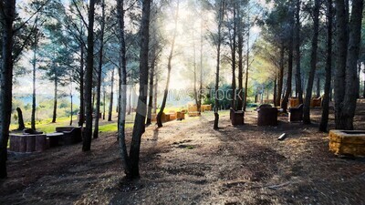 video of a sitting area beside trees on a mountain in Libya, Libya, history of Libya, landmarks in Libya