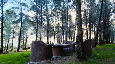 video of a sitting area beside trees on a mountain in Libya, Libya, history of Libya, landmarks in Libya