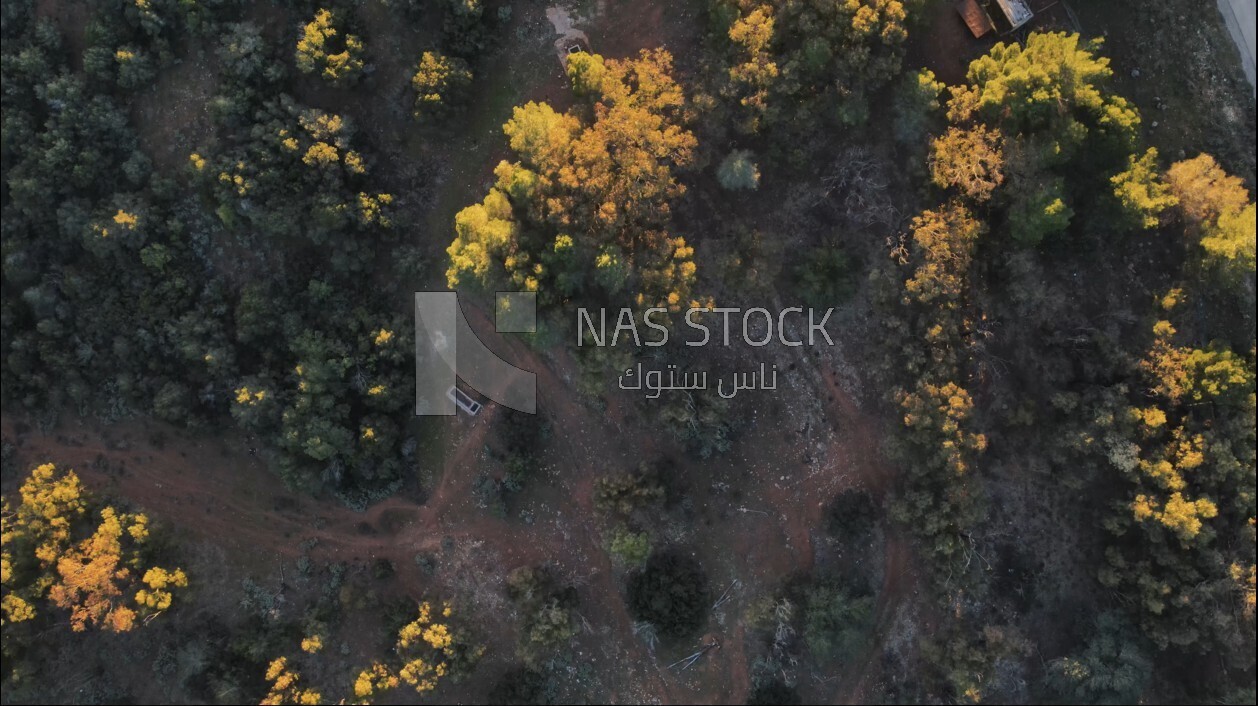 drone footage shows green space from a high view in Libya, landmarks in Libya