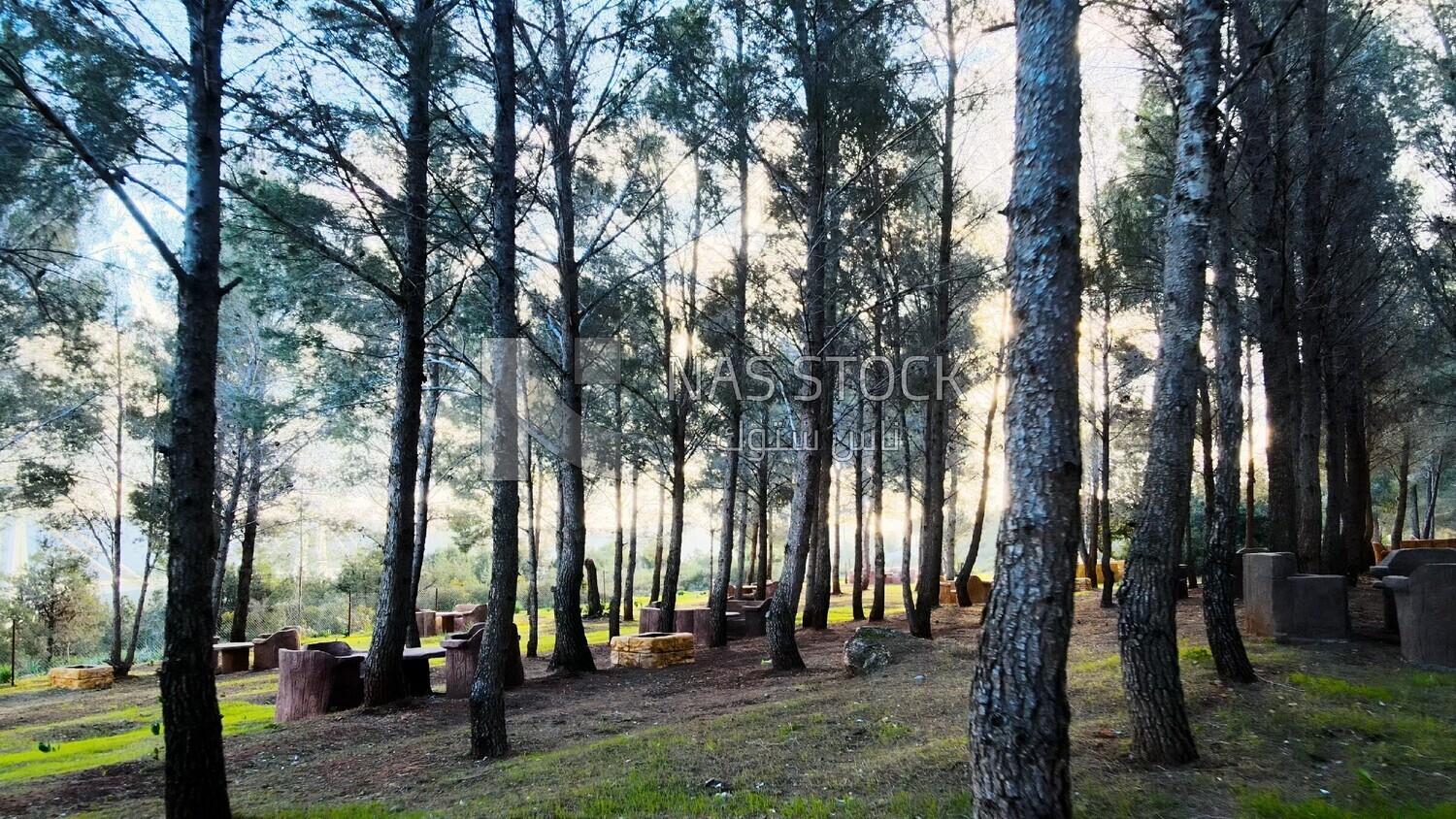 video of a sitting area beside trees on a mountain in Libya, Libya, history of Libya, landmarks in Libya