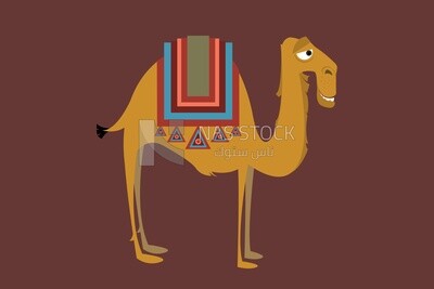 Camel