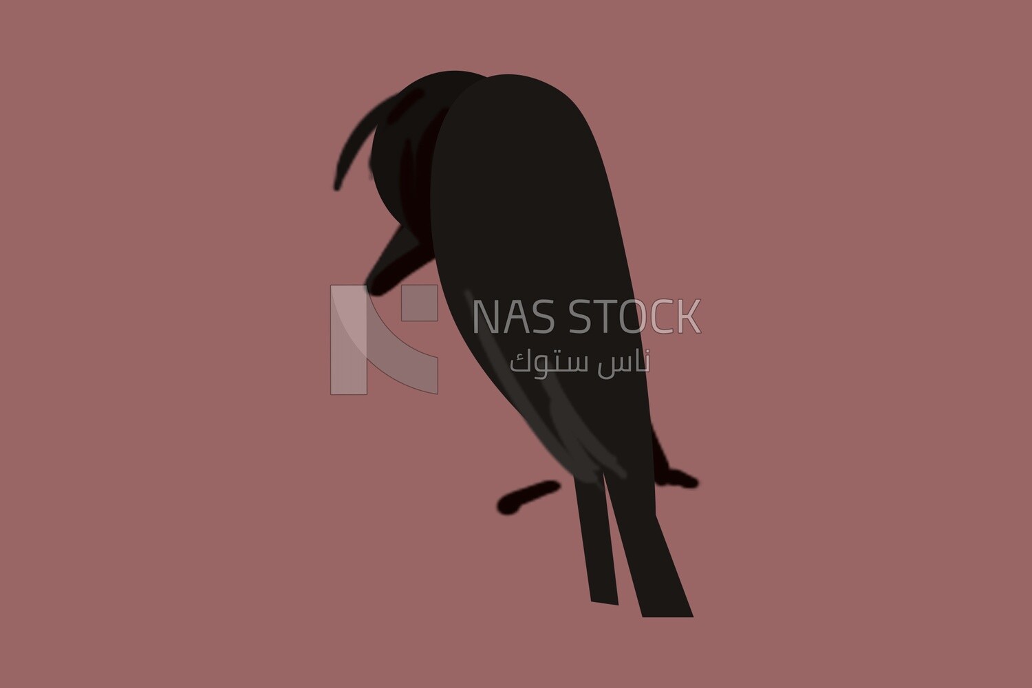 Raven