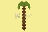 Palm tree