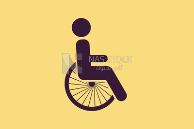 Wheelchair icon