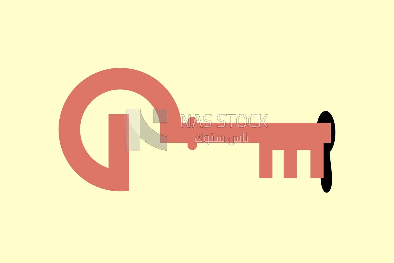 Door key
