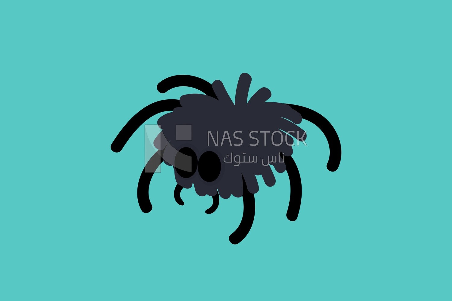 Black spider