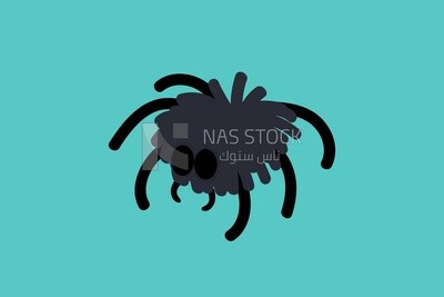 Black spider