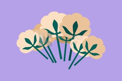 Bouquet of flowers