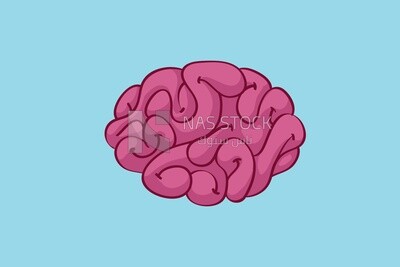 عقل على خلفية بيضاء