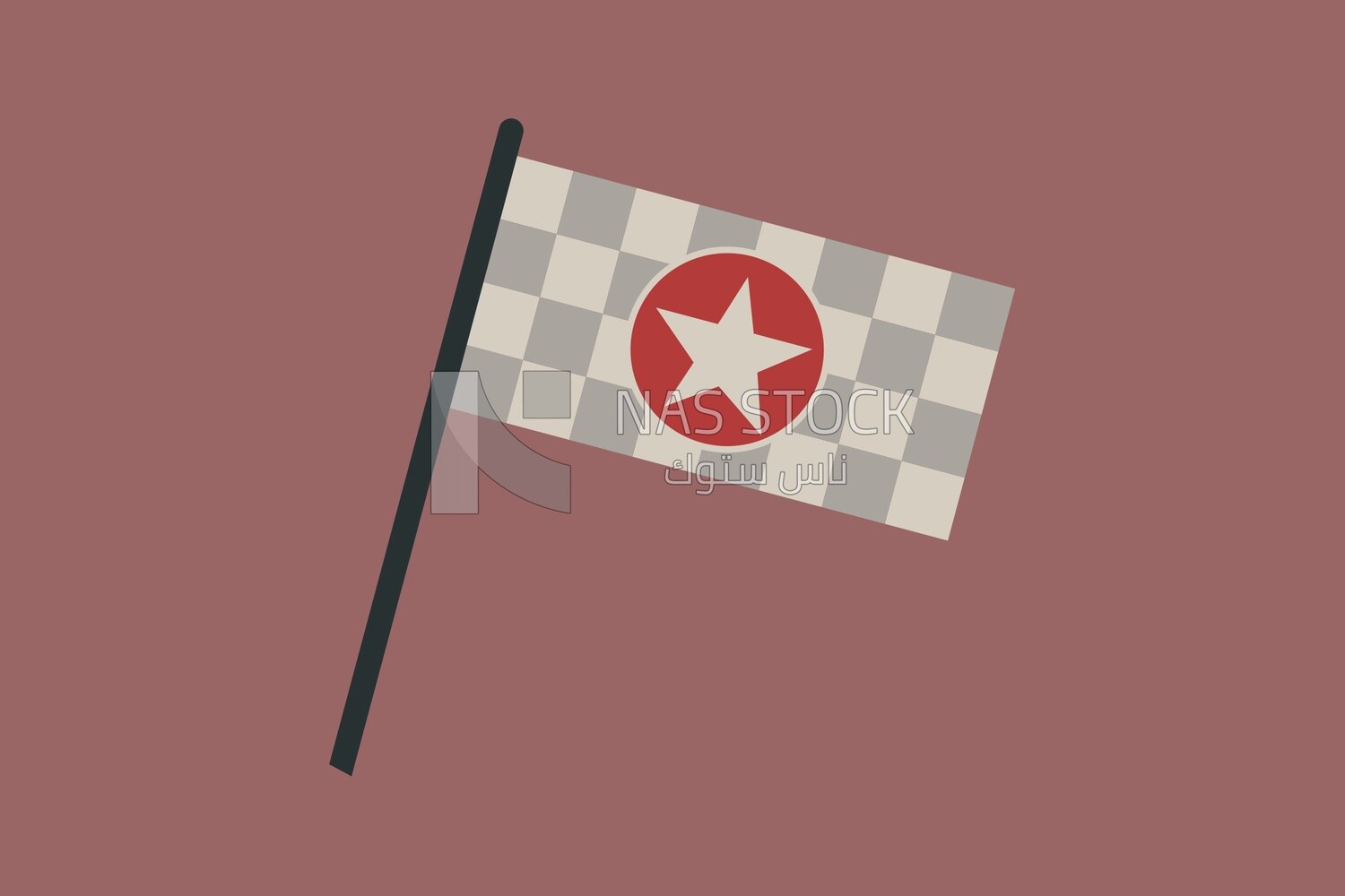 Flag with star
