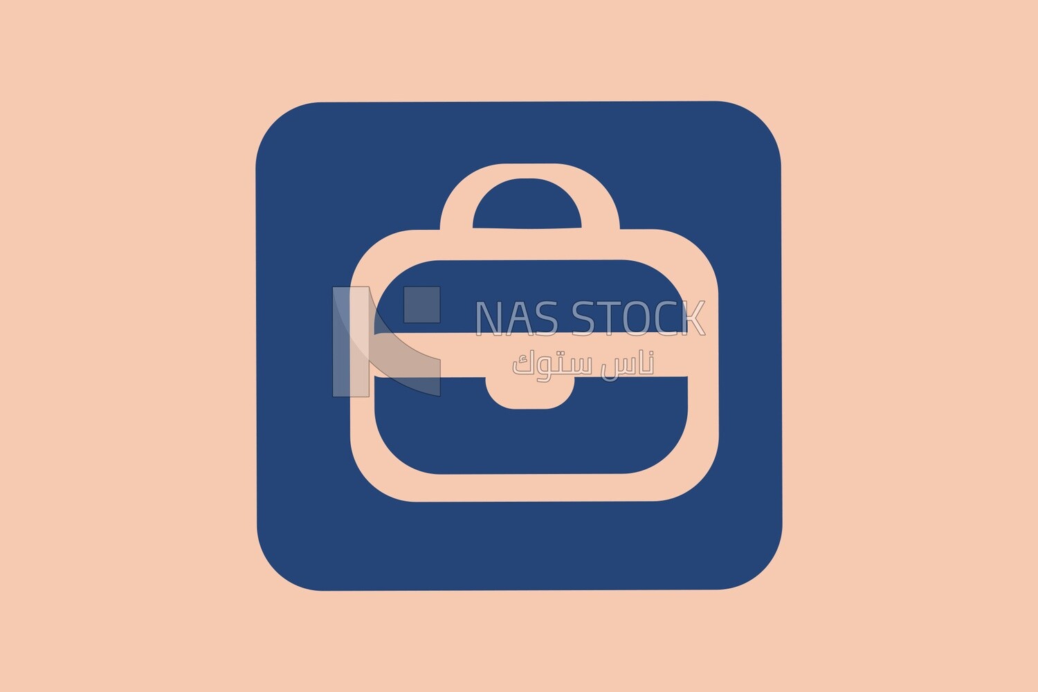 Bag icon