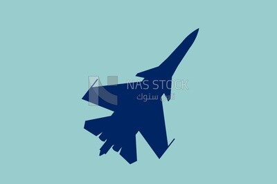 F-14 aircraft