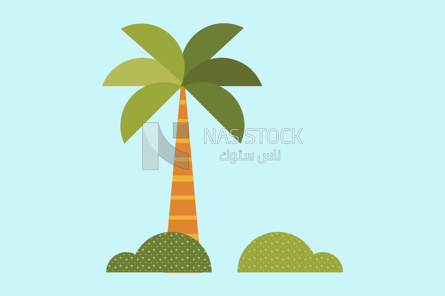 Palm tree
