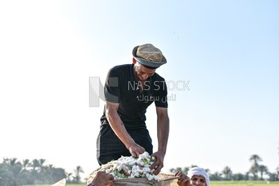 Egyptian farmer
